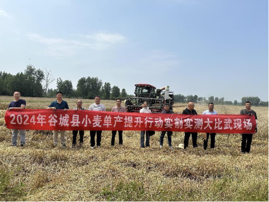 谷城:小麦绿色高产高效样板区单产提升行动旗开得胜-湖北省农业事业